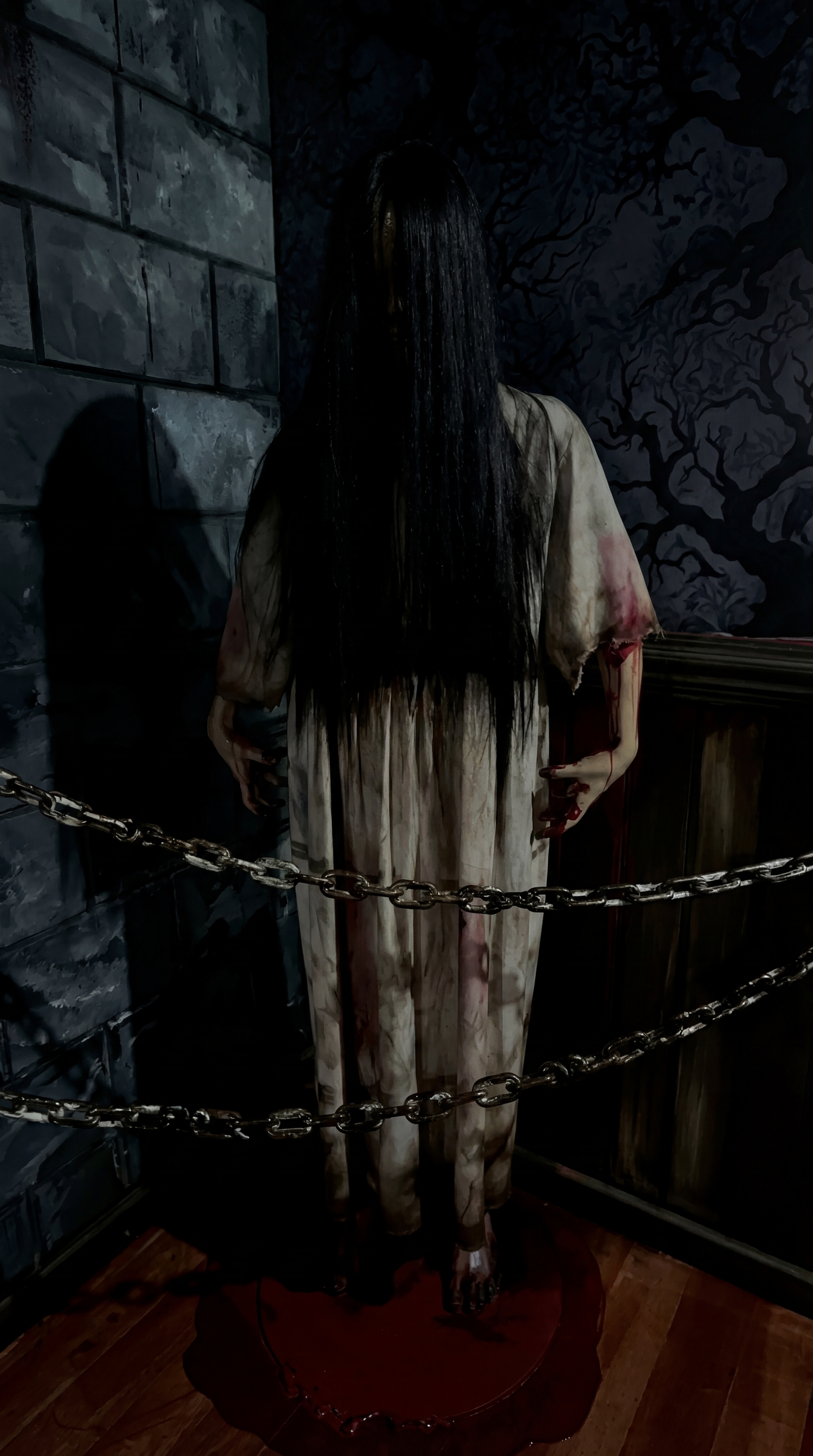Casa do Terror